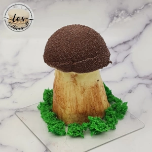 Champignon poire marron