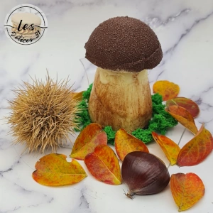 Champignon poire marron